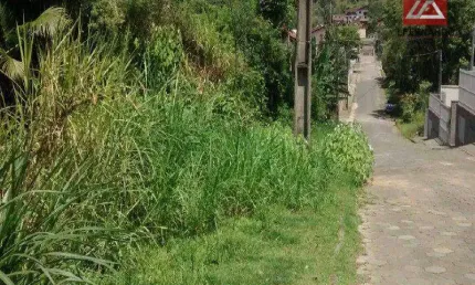 Terreno à venda, 2220 m² por r$ 690.000,00 - velha - blumenau/sc