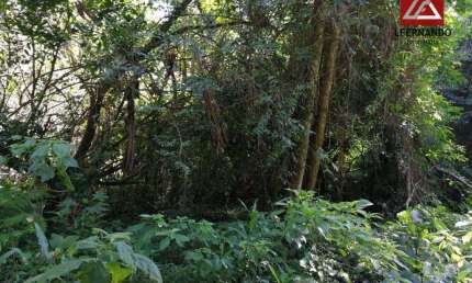 Terreno à venda, 30.000 m² por R$ 400.000 - Centro - Luiz Alves/SC