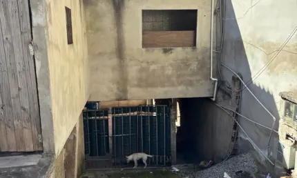 Casa com 3 quartos à venda na Rua dos Amazonenses, s/n, Parque Suburbano, Itapevi