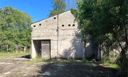 Barracão / Galpão / Depósito à venda na Rodovia Engenheiro Constâncio Cintra, Bairro do Pinhal, Itatiba
