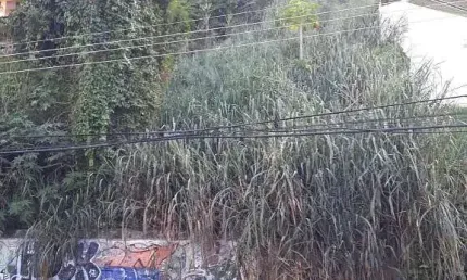 Chácara / sítio à venda no Jardim Guanabara, Rio de Janeiro 