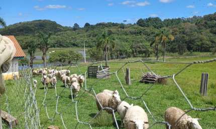Chácara / sítio com 6 quartos à venda na Área Rural, Área Rural de Fazenda Rio Grande, Fazenda Rio Grande