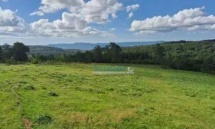 Terreno à venda, 570000 m² por R$ 2.600.000,00 - Santa Cruz da Concórdia - Taquara/RS