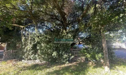Terreno à venda, 384 m² por R$ 250.000,00 - Vila Fátima - Cachoeirinha/RS