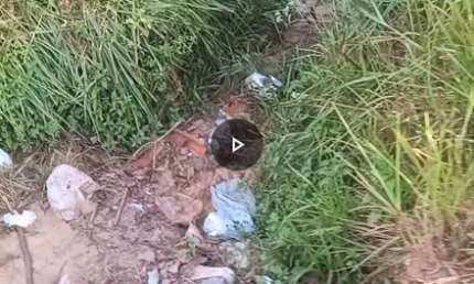 Terreno comercial para alugar no Tibiri, São Luís 