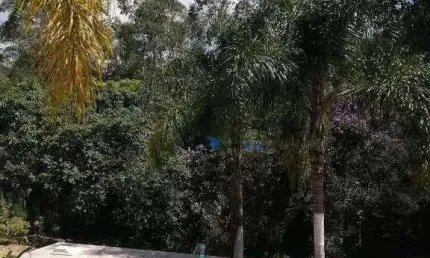 Terreno residencial à venda, jundiaí mirim, jundiaí - te0011.