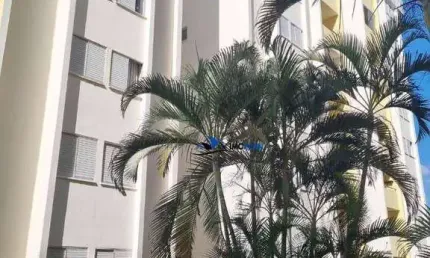 Apartamento com 2 quartos à venda na Rua João Carbonari Júnior, 214, Vila Nova Jundiainópolis, Jundiaí