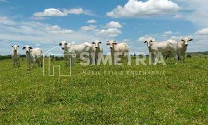 TERRAS EM ANHEMBI/SP, PRONTAS PARA PASTO!  ÁREA TERRENO 26 ALQUEIRES PAULISTA
