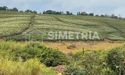 VENDA – FAZENDA DE CAFÉ NA REGIÃO DE SANTO ANTÔNIO DO AMPARO - MG! FZV0722505