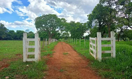 Chácara / sítio com 2 quartos à venda na Avenida Manoel de Oliveira, Zona Rural, Bela Vista de Goiás