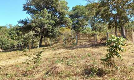 Chácara / sítio com 2 quartos à venda na Rua Itacolomi, SN, Conjunto Habitacional Jardim Sabia, Senador Canedo