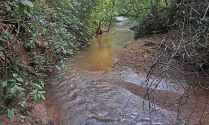 Chácara / sítio com 3 quartos à venda na Rua Pedro Ludovico Teixeira, Zona Rural, Piracanjuba
