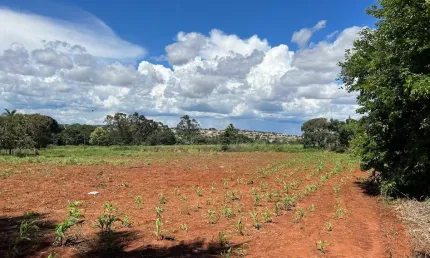 Chácara/Terreno de 32.996 m² no Parque Bom Jesus - Goiânia!