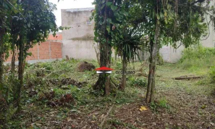 Terreno à venda, 490 m² por R$ 340.000 - Jardim das Gaivotas - Caraguatatuba/SP