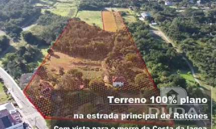Chácara / sítio com 14 quartos à venda na Rua João Januário da Silva, Ratones, Florianópolis