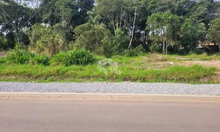 Terreno de 630 m2 - São Francisco do Sul - Bairro Reta, Rua Asfaltada.