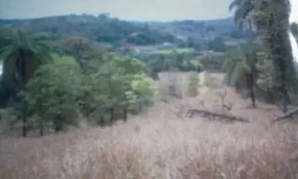 Chácara / sítio à venda na Caracois, Zona Rural, Esmeraldas