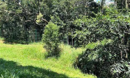 Terreno à venda, 746,80 m² por r$ 746.000,00 - condomínio portal de bragança horizonte - bragança paulista/sp