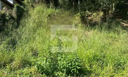 Terreno à venda na Servidão da Figueira Velha, Córrego Grande, Florianópolis