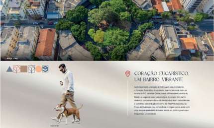Apartamento com 3 quartos à venda em Belo Horizonte