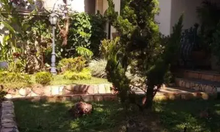 Casa com 4 quartos à venda na Rua Costa Senna, Padre Eustáquio, Belo Horizonte
