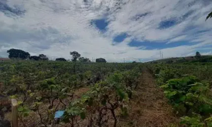 Área à venda, 34885 m² por r$ 8.749.000,00 - bom jardim - jundiaí/sp