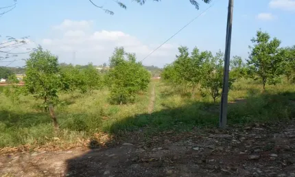 Sítio com 2 dormitórios à venda, 48000 m² por R$ 10.000.000,00 - Mato Dentro - Indaiatuba/SP