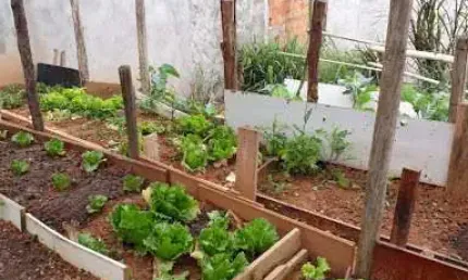 Terreno à venda, 146 m² por r$ 100.000,00 - nova monte serrat - itupeva/sp