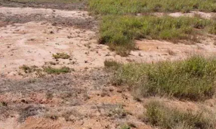 Terreno, 375 m² - venda por R$ 450.000,00 ou aluguel por R$ 2.200,00/mês - São Venâncio - Itupeva/SP