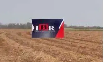 Fazenda à venda na Área Rural, Área Rural de São Carlos, São Carlos