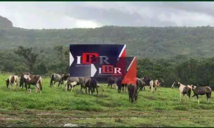 Fazenda à venda na Zona Rural, Novo São Joaquim 
