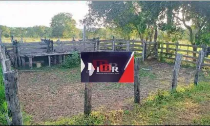 Fazenda à venda na Zona Rural, Camapuã 