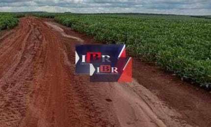 Fazenda à venda na Zona Rural, Naviraí 