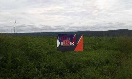 Fazenda à venda na Avenida Daniel de La Touche, Vila São Luís, São Luís