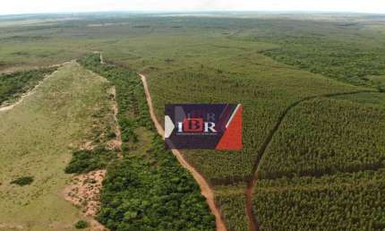 Fazenda à venda, 109550000 m² por R$ 657.000.000,00 - Centro - Campo Grande/MS