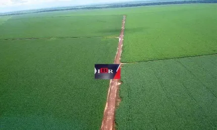 Fazenda à venda no Centro, Ipiranga do Norte 
