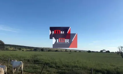Fazenda à venda na Zona Rural, Anaurilândia 