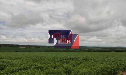 Fazenda à venda na Rua Rúbens Brasi, Área Rural de Itapetininga, Itapetininga
