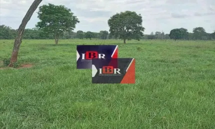 Fazenda à venda na Zona Rural, Terenos 