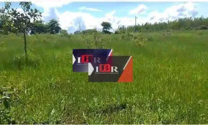 Chácara / sítio à venda na Zona Rural, Terenos 