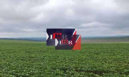 Fazenda à venda no Centro, Serranópolis 