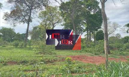 Fazenda à venda na Zona Rural, Terenos 