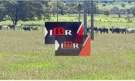 Fazenda à venda na Zona Rural, Paraíso das Águas 