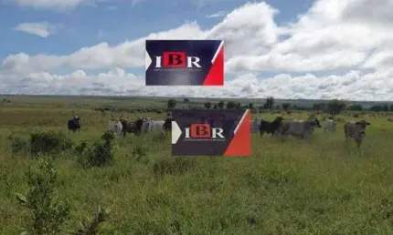 Fazenda à venda na Rua Carurú, Zona Rural, Campo Grande