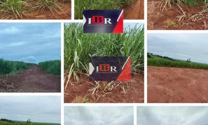 Fazenda à venda no Centro, Luís Antônio 