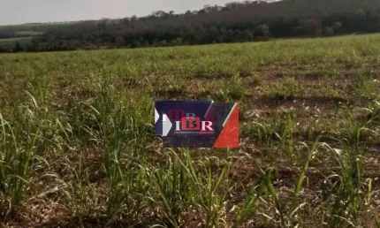 Fazenda à venda na Alameda Romênia, Área Rural de Barretos, Barretos