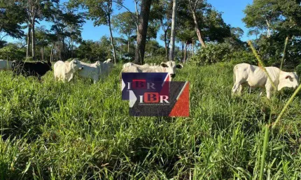 Fazenda à venda na Zona Rural, Alcinópolis 
