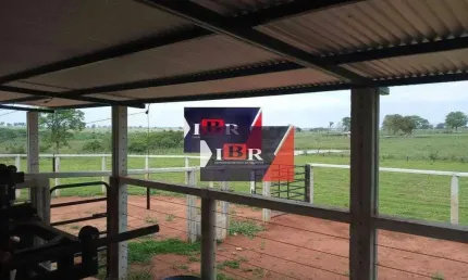 Fazenda à venda na Zona Rural, Terenos 