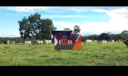 Fazenda à venda na Zona Rural, Bonito 