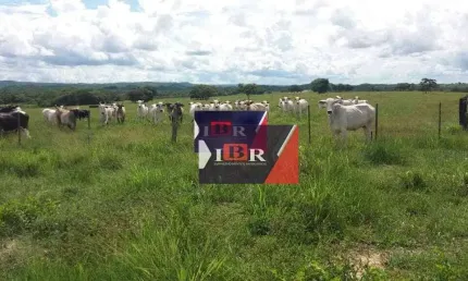 Fazenda à venda na Zona Rural, Nova Brasilândia , 12340000 m2 por R$ 16.000.000